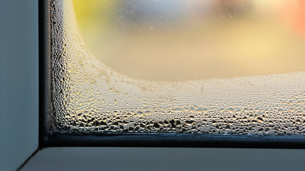 window condensation
